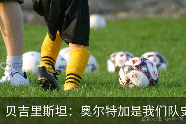 贝吉里斯坦：奥尔特加是我们队史最好二门